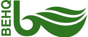 cropped-cropped-IconoWeb_BEHQ_512x512
